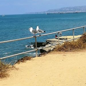 Meet your Posher, Esther